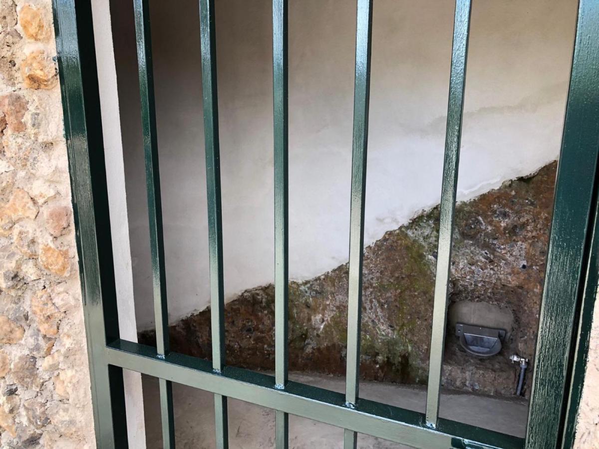 הוילה Tegueste El Sarmiento מראה חיצוני תמונה