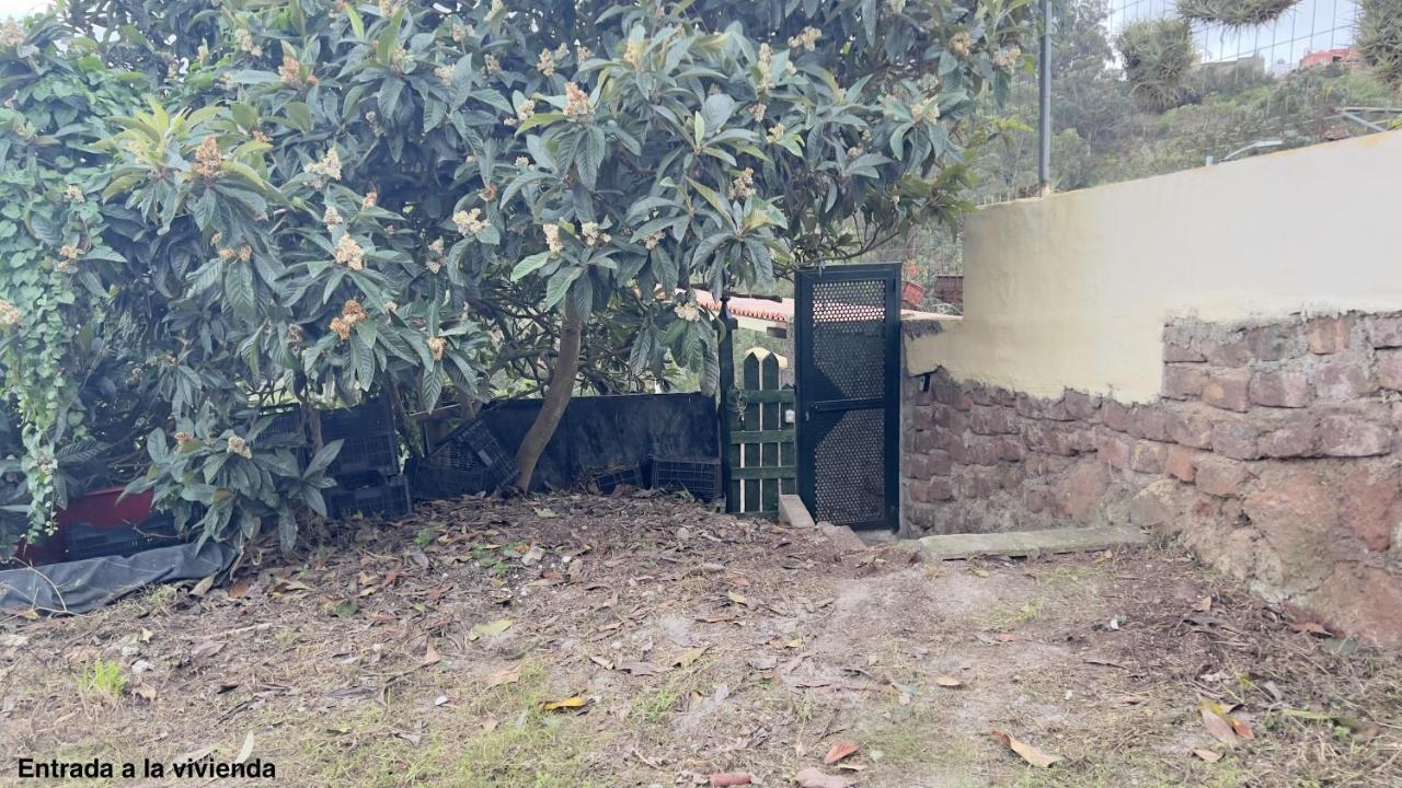 הוילה Tegueste El Sarmiento מראה חיצוני תמונה